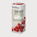 Bolsius aroma difuzér Brusinky 45 ml